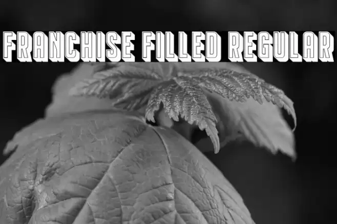 Franchise Filled Regular Font examples