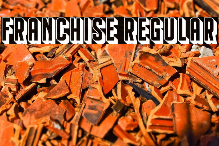 Franchise Regular Example 2