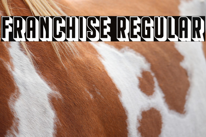 Franchise Regular Example 3