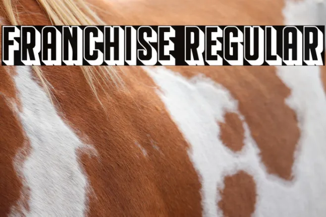 Franchise Regular Example 3