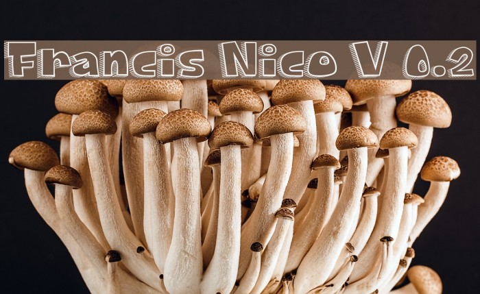 Francis Nico V 0.2 Font examples