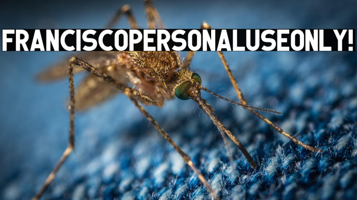 Francisco PERSONAL USE ONLY! Example 1