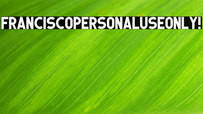 Francisco PERSONAL USE ONLY! Example 3