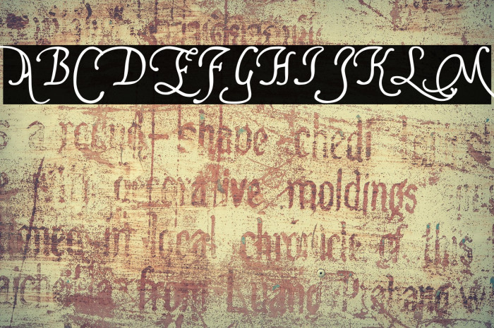 FranciscoLucas Briosa Example 1