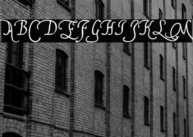 FranciscoLucas Briosa Font examples