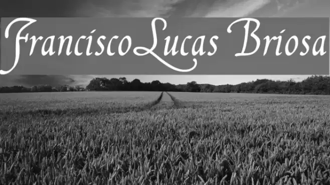 FranciscoLucas Briosa Font examples