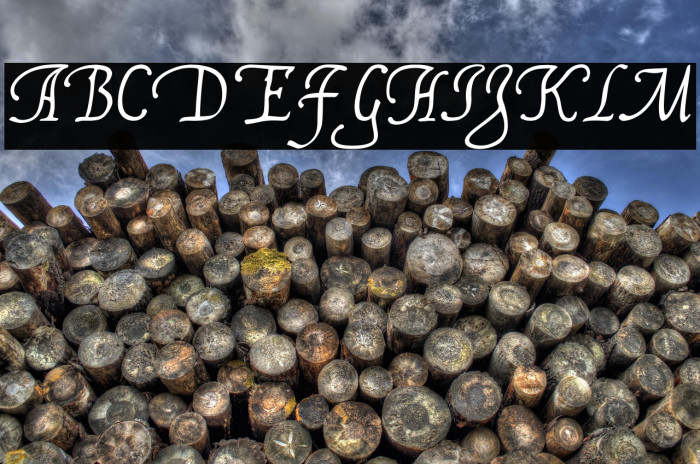 FranciscoLucas Llana Example 1