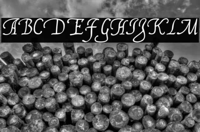 FranciscoLucas Llana Font examples