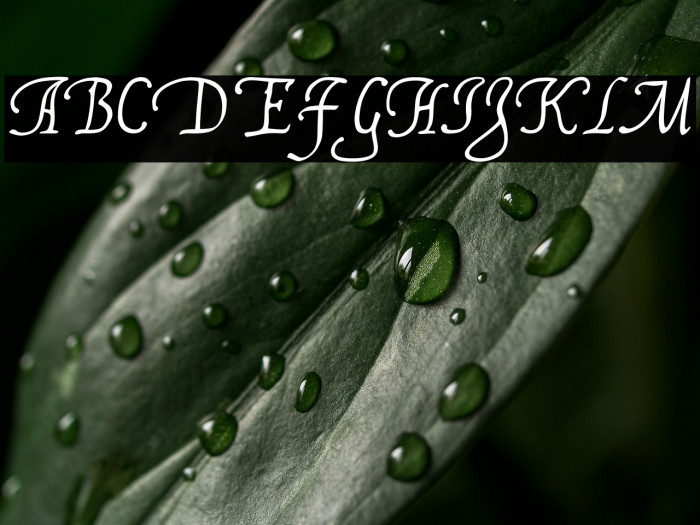 FranciscoLucas Llana Example 2