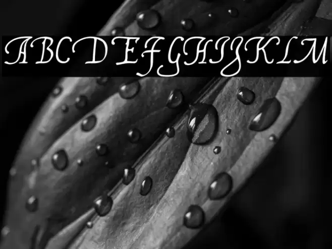 FranciscoLucas Llana Font examples