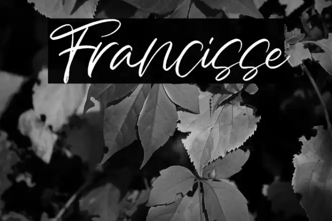 Francisse Font examples