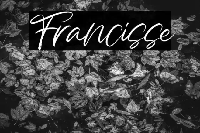 Francisse Font examples
