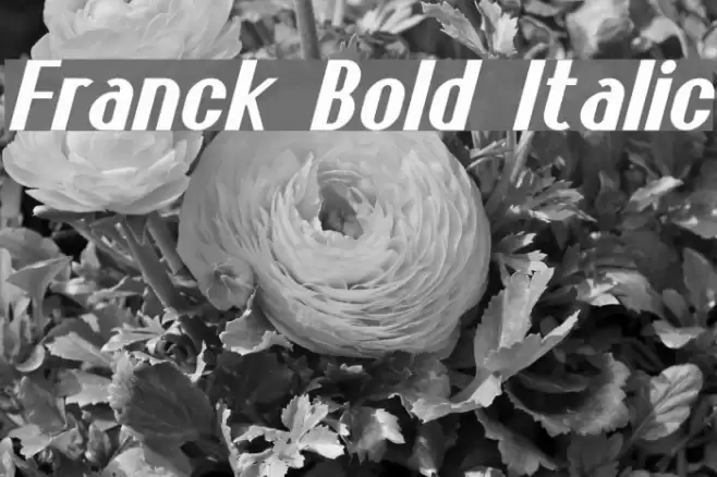 Franck Bold Italic Font examples