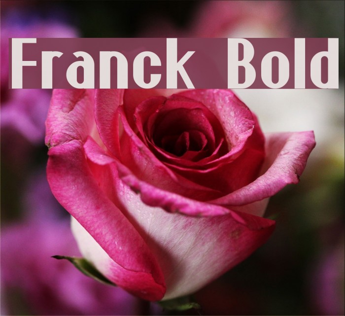 Franck Bold Example 1
