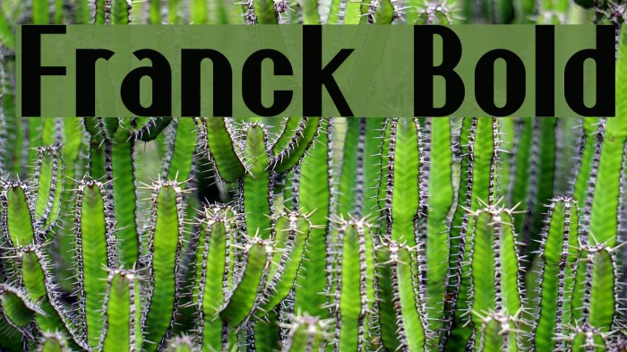 Franck Bold Example 2