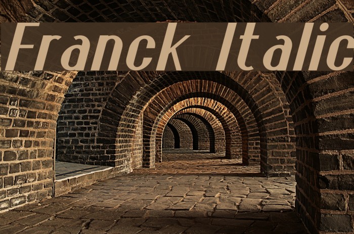 Franck Italic Font examples