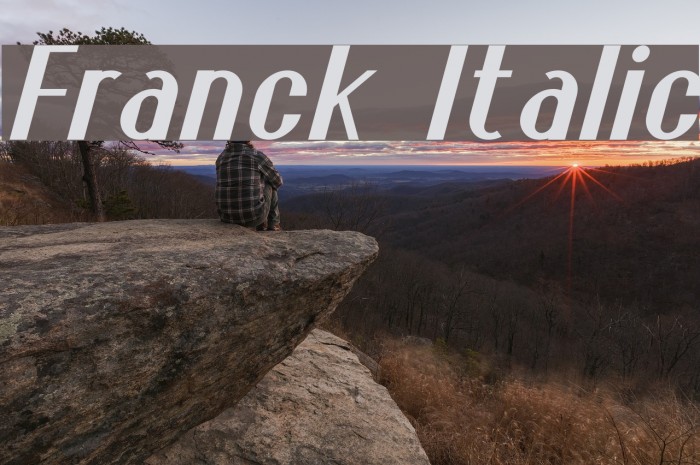 Franck Italic Font examples