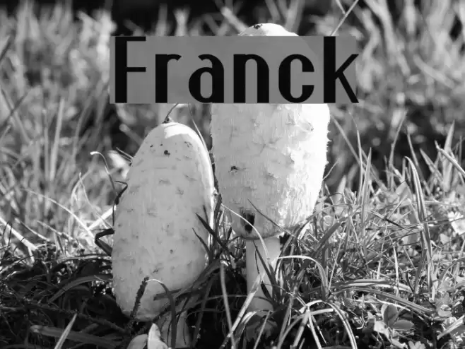 Franck Font examples