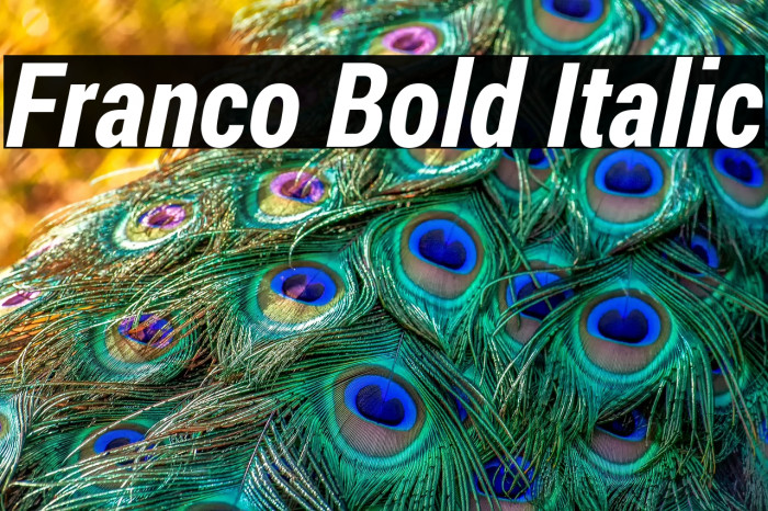 Franco Bold Italic Example 3