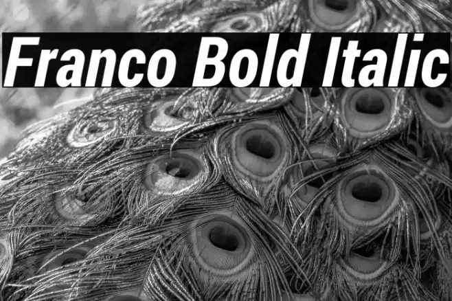 Franco Bold Italic Font examples