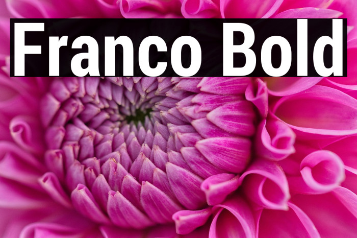 Franco Bold Example 2