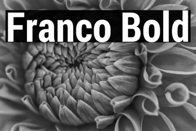 Franco Bold Font examples