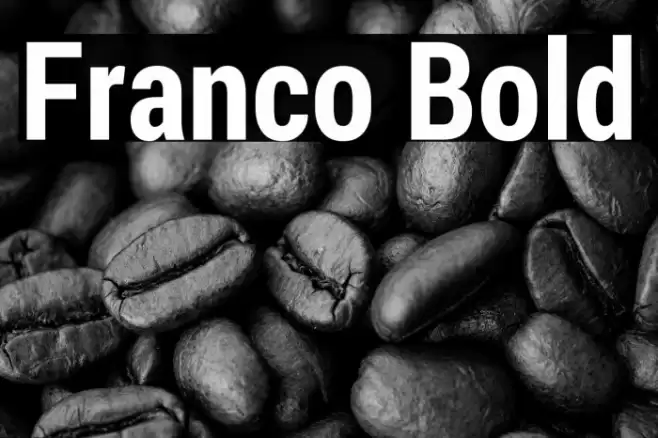 Franco Bold Font examples