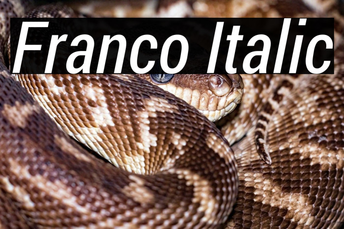 Franco Italic Example 3