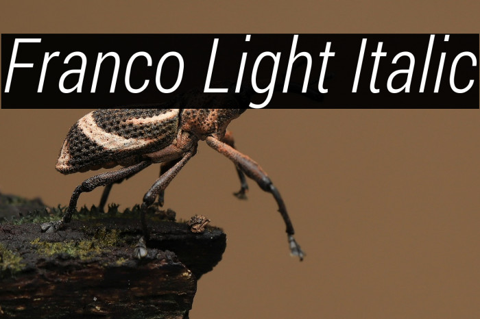 Franco Light Italic Example 1