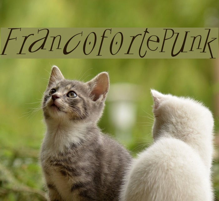 FrancofortePunk Font examples