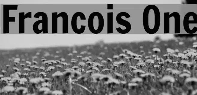 Francois One Font examples