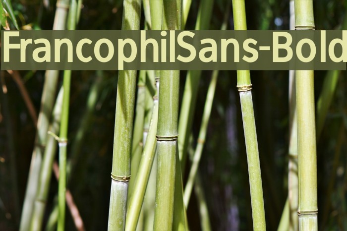 FrancophilSans-Bold Font examples