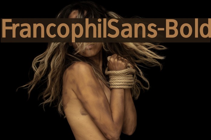 FrancophilSans-Bold Font examples