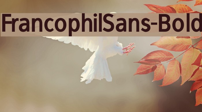 FrancophilSans-Bold Font examples