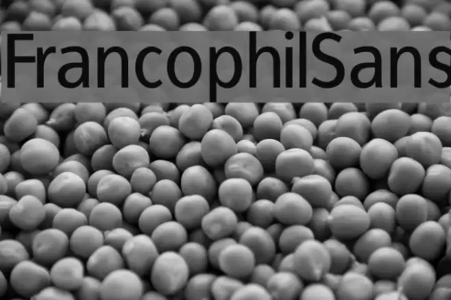 FrancophilSans Font examples