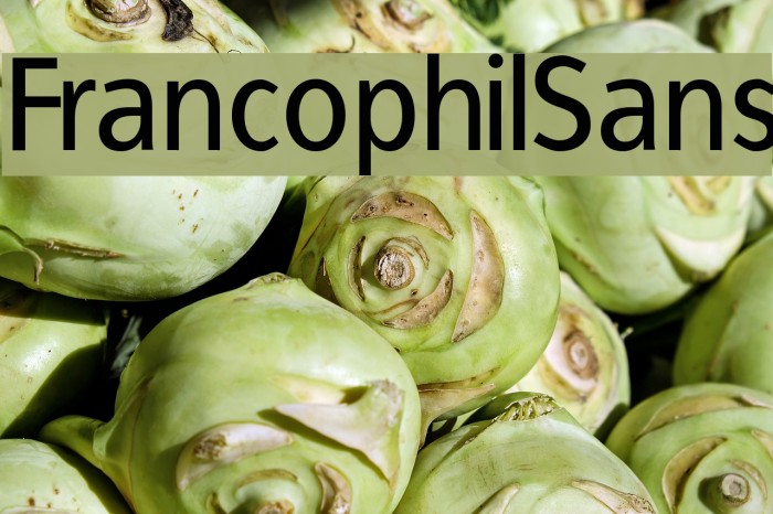 FrancophilSans Font examples