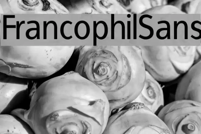 FrancophilSans Font examples