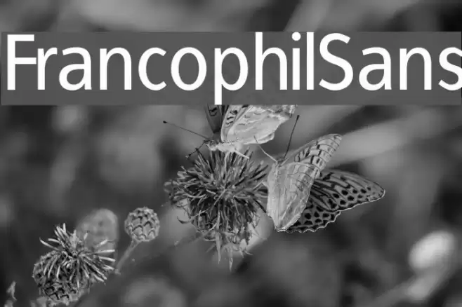 FrancophilSans Font examples