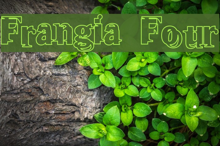 Frangia Four Font examples