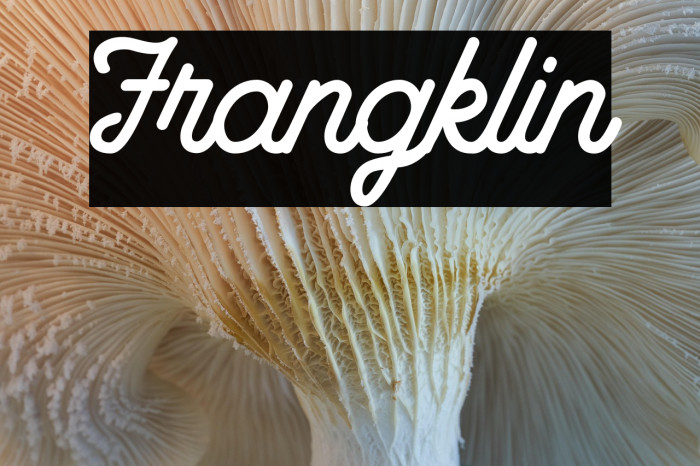 Frangklin Example 1