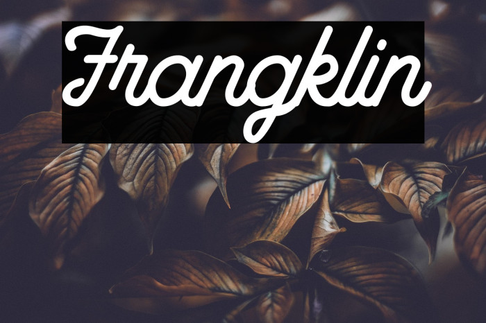Frangklin Example 3