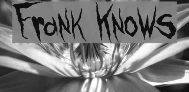 Frank Knows Font examples