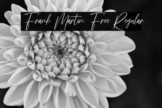 Frank Martin Free Regular Font examples