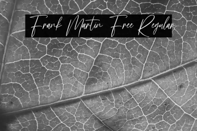 Frank Martin Free Regular Font examples