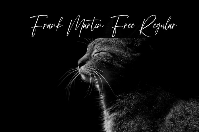 Frank Martin Free Regular Example 3