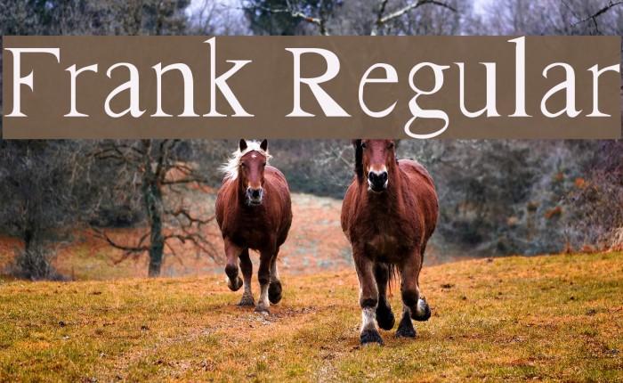 Frank Regular Font examples