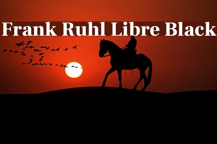 Frank Ruhl Libre Black Font examples