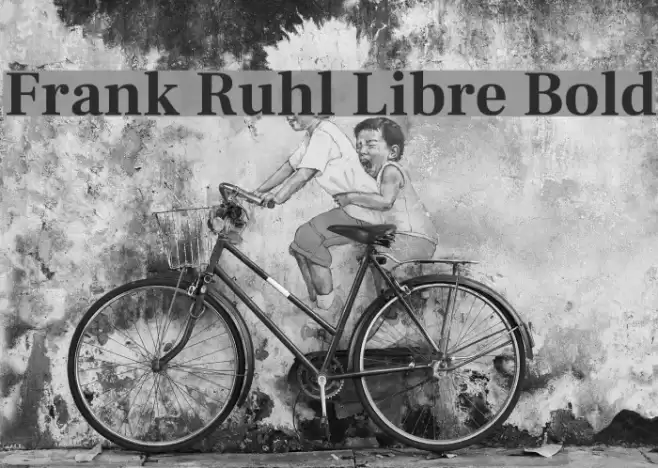 Frank Ruhl Libre Bold Font examples