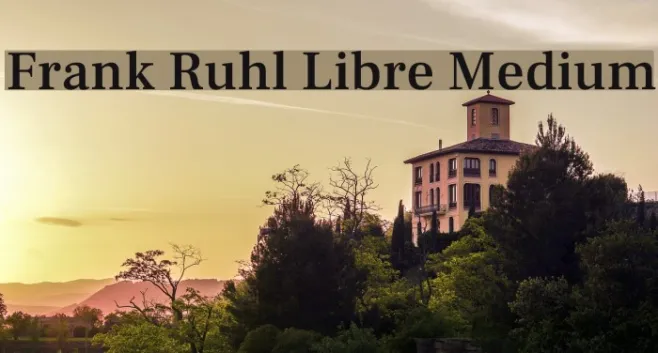 Frank Ruhl Libre Medium Example 3