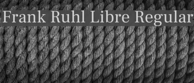 Frank Ruhl Libre Regular Font examples